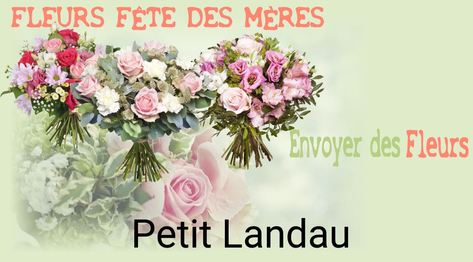 Bouquet de Fête des Mères livré à Petit-Landau
